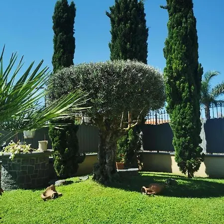 Atrium בית נופש פומפיי