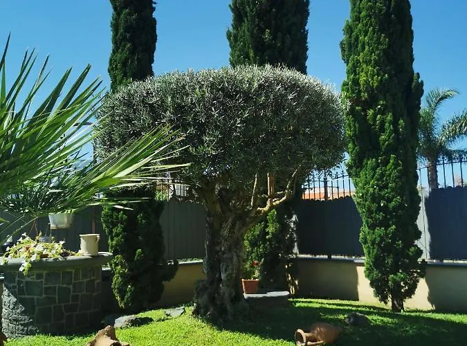 Atrium Semesterbostad